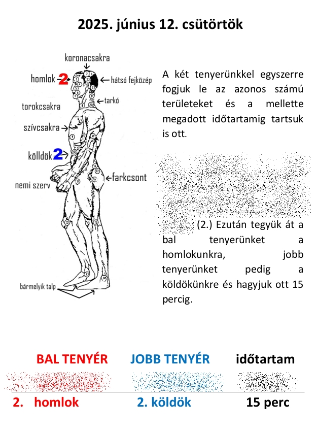 cats12