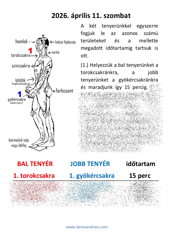 á11