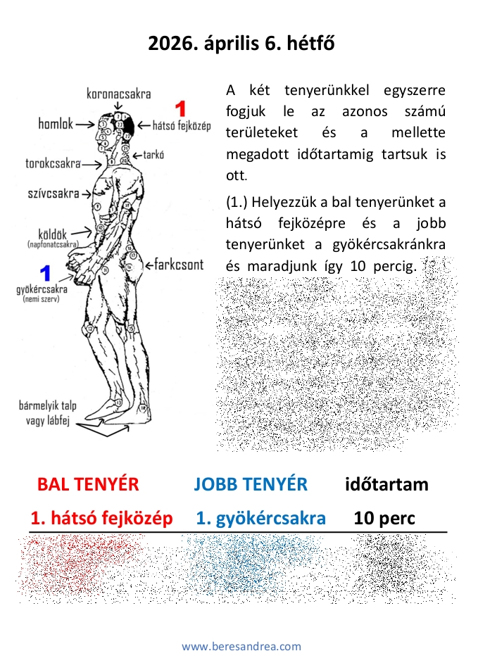 á6