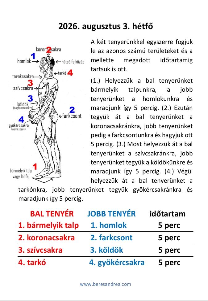 a3