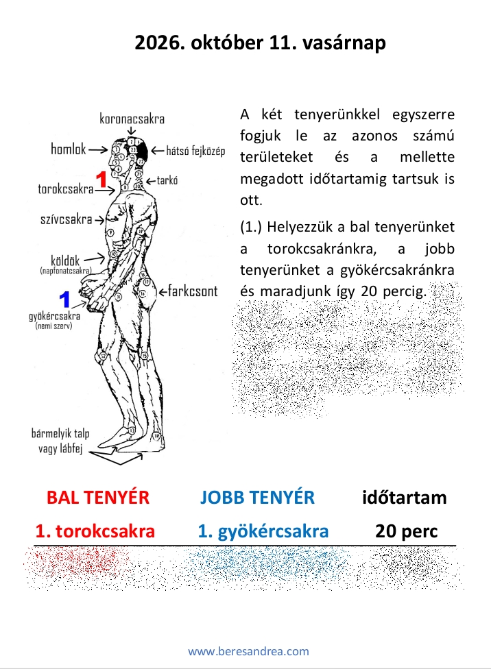 o11